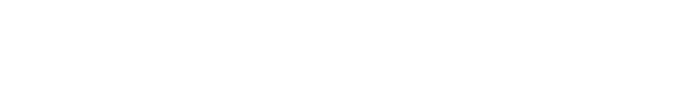 logo-skyna